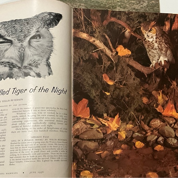 Vintage Lot of 5 Arizona Highways Magazines 1954, 1956, 1961, and 19062 - Picture 6 of 16